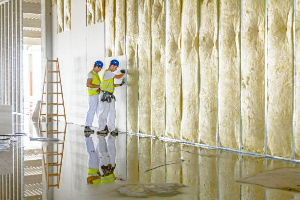 Best Insulation for Specific Applications in Sykesville, MD